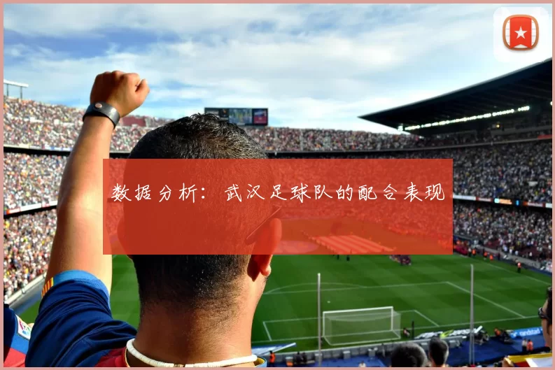 数据分析：武汉足球队的配合表现