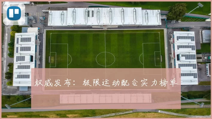 权威发布：极限运动配合实力榜单