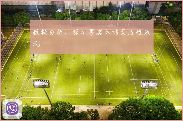 数据分析：深圳攀岩队的灵活性表现