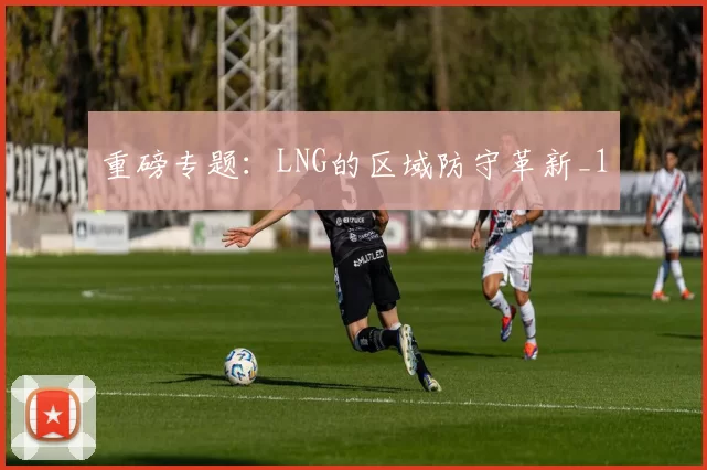 重磅专题：LNG的区域防守革新_1