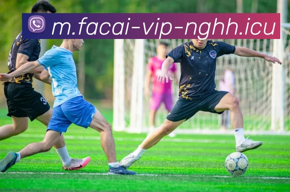 乐竞体育平台生态图